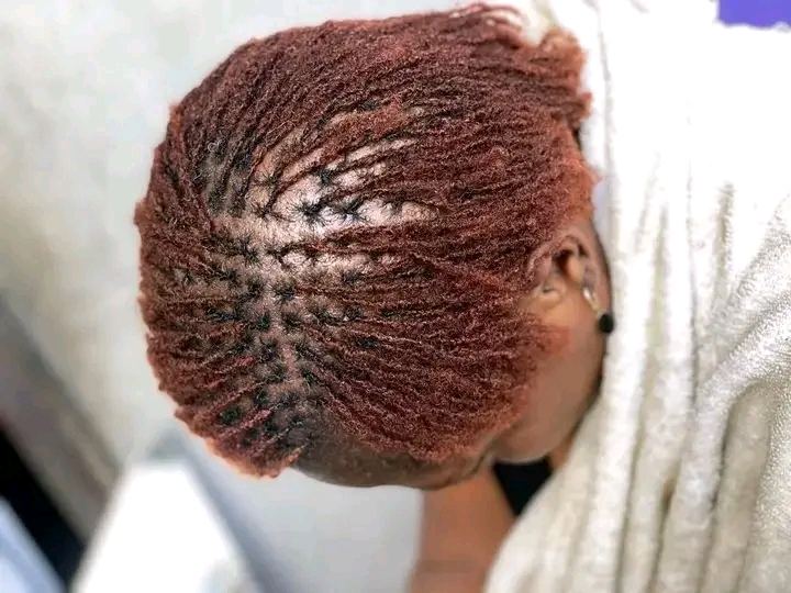 Auburn coloured locs, top view